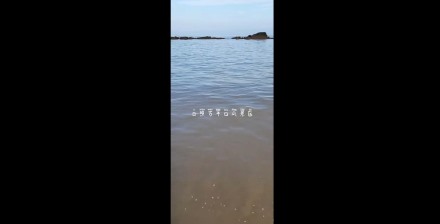日照萬平口風景區—泰安金輝國旅