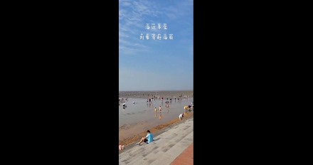 海邊尋寶，劉家灣趕海園—泰安金輝國旅